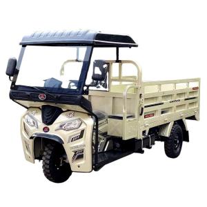 China 200cc Dayang Gasoline Cargo Tricycle with Three Wheels and Front Drum Rear Drum Brakes factory