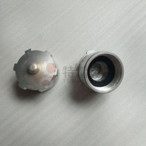 TEREX 9246992 Cap assy for terex tr100 truck parts