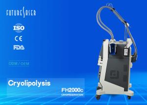 China Fat Freezing Cryolipolysis Slimming Machine With 10 Inch Touch Lcd Screen factory