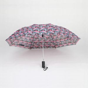 China Automatic Open Two Fold Umbrella 21 Inch Skull Printing Fabric Plastic Handle on sale