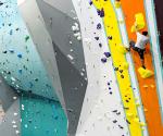 Plywood Indoor Rock Climbing Panels Artificial Design With Auto Belay System