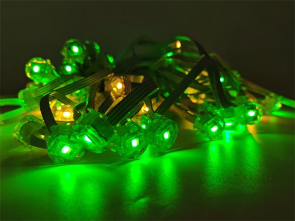 Christmas Outdoor Holiday Lighting SMD5050 LED DC12V 20MMM Light for House eave