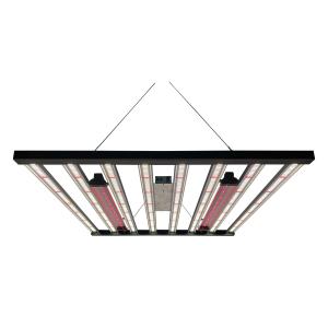 China Horticulture Samsung LM301H Osram LED Grow Light 1kW For Commercial Growing factory