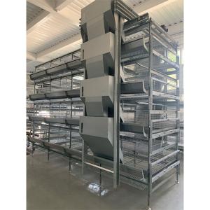 China 5000 birds Automatic H Type Galvanized Layer Battery Chicken Cage For Poultry Farm House Equipment factory