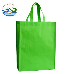 China 260gsm Non Woven Reusable Bags factory