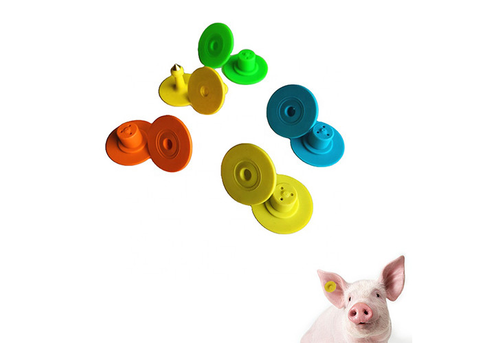 Two Sides Farm Management TPU Laser Printing Animal Ear Tags