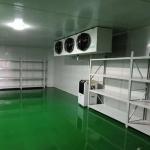 Thermal Insulation Cold Storage Panel Plant Partition Board Purification Board