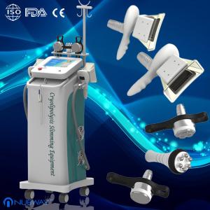 China Vacuum Cryolipolysis Slimming Machine With Laser Liposuction Fat Reduction factory