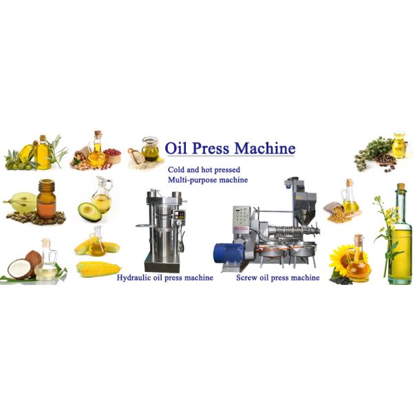 High Capacity Oil Manufacturing Machine Sunflower Oil Extracting Machine