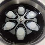 CFL6R 6×1000ml Large Capacity Floor Standing Refrigerated Centrifuge In 6000rpm