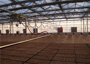 China Reducing Labor Greenhouse Drip Irrigation System Long Service Time For Strawberries factory