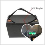 Leadyo 100Ah 120Ah 150Ah 12 Volt Lifepo4 Battery With 31 Group Size