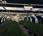Automatic Fertilizer Water Integrated System For Modern Agriculture