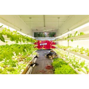 China Hydroponic Farming Prefab Container Homes Light Steel Frame Modular Home factory