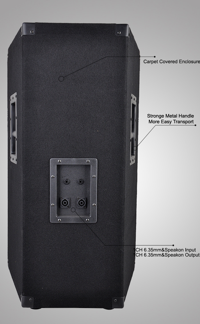 15 Inch 300W Wooden Cabinet Professional Speaker Box Design WPA15