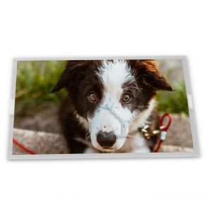 China LTM10C209A 10.4&quot; 640*480 TFT-lcd Display factory