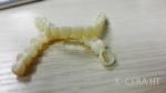 High Strength Zirconia Dental Material Pre Sintered Multi Layered Zirconia