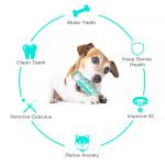 Multi Functional Interactive Dog Toys Customized Pet Chew Toys
