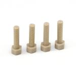 Injection Molding Services PEEK Screws with Weather Resistance and 3D Printing