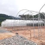 High Tunnel Single Span Tomato Hydroponic System Low Cost Plastic Greenhouse