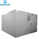 Fish Refrigeration Chamber Walk in Freezer Cold Storage Room