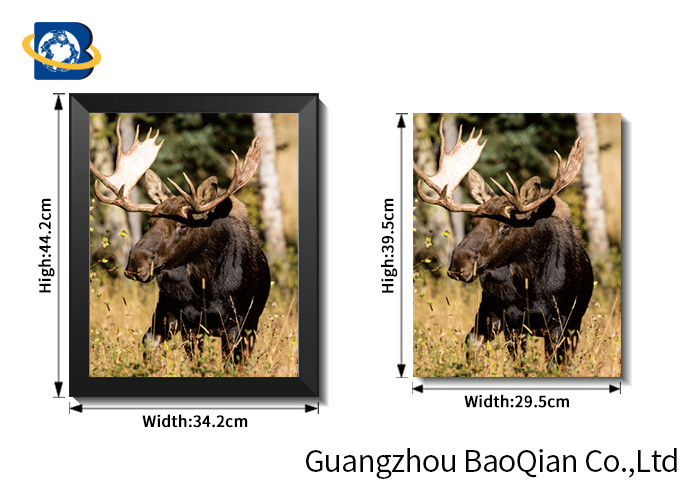 Wall Art Stretched Picture Of Wild Animal Black Bear / Deer For Bedroom Decoration