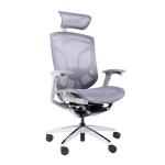 Butterfly Backrest Ergonomic Executive Chair Wintex Mesh Adjustable Lumbar
