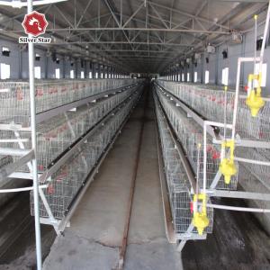 China 43*41Cm Full Automatic Battery Chicken Cage System U Type Galvanized Silver Color factory