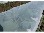 Insect Screen & Garden Netting Against Bugs, Birds & Squirrels