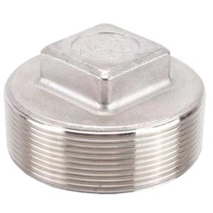 China Customized Support 304 Stainless Steel Square Head Cored Plug Class 150 2'' NPT Male factory