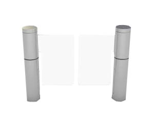 China OEM Security Swing Gate Access Control Systems Brake Cylinder Pendulum factory
