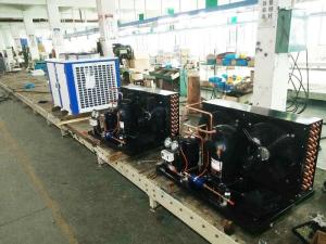 China -18℃ Air Cooling Refrigeration Condensing Unit 30 HP For Chiller factory