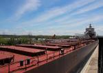 40FT 40HQ FCL Oceania Freight , Ocean Freight From China To USA