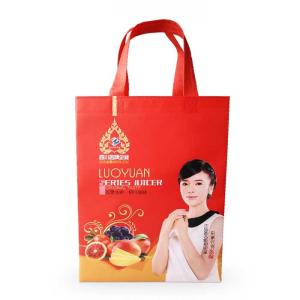 China Printed Polypropylene Promotional Non Woven Shopping Bags Foldable Reusable factory