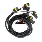 Plastic Electric Vehicle Wire Harness Assembly OEM Voltage 24V