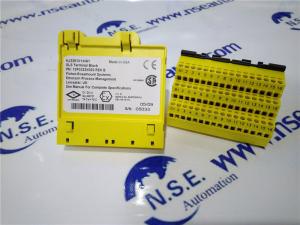 China Emerson Delta V KJ4101X1-BA1 12P1870X022 8-WIDE CARRIER DELTA V in stock factory
