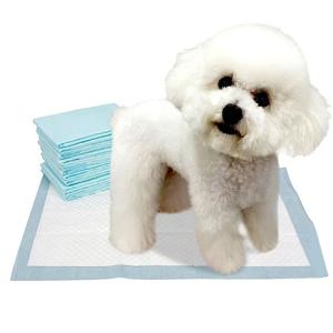 China Agility Training Disposable Pet Pads White 45x60cm 33x45cm 60x60cm factory