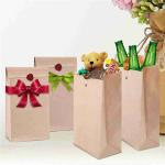 Kuaima 100% Compostable Kraft Paper Food Bags For Snack Food Packaging