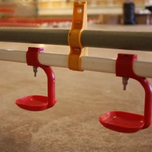 China 3m PVC Pipe Broiler Automatic Drinker Nipple System In Poultry Farm factory