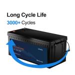 Rechargeable 12V LiFePo4 Battery Lithium Ion Batteries 300ah 12.8V High Capacity