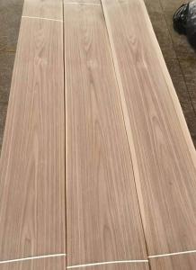 China 12cm Width American Black Walnut Crown Cut Panel A Grade 12% Moisture factory
