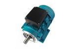 1 Ph 0.5HP 220v 50Hz Single Phase Induction Motor With IEC Standard For Driving