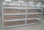 Rolling Section Carton Flow Rack 4 Beam Level Light Duty Movable Storage
