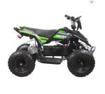 Hot Sale 4 Wheeler Electric ATV / EATV 1000w Mini Quad Bike for Kids