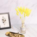 Wholesale Price Preserved Flower Dried Rabbit Tail Grass Decorative Flowers