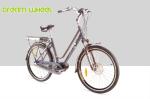 250W 36V Urban City Electric Bike 7.8Ah Samsung Cells