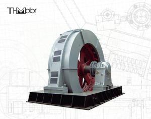 China TXZ Large Scale Mining Mill 3ph AC Brushless Synchronous Motor 11kv factory