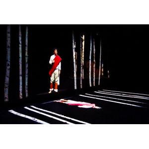 Pepper Ghost Holographic Projection System / Holographic 3D Digital Projection