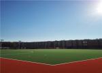 Easy Cleaning Durable Field Hockey Artificial Turf Fake Grass Environment