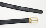 Gold Buckle 3.0CM Womens Genuine Leather Belt For Pants